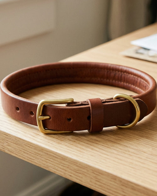 Resd Rolled Leather Pet Collar 32-42 cm Chestnut Brown - Lifestyle view